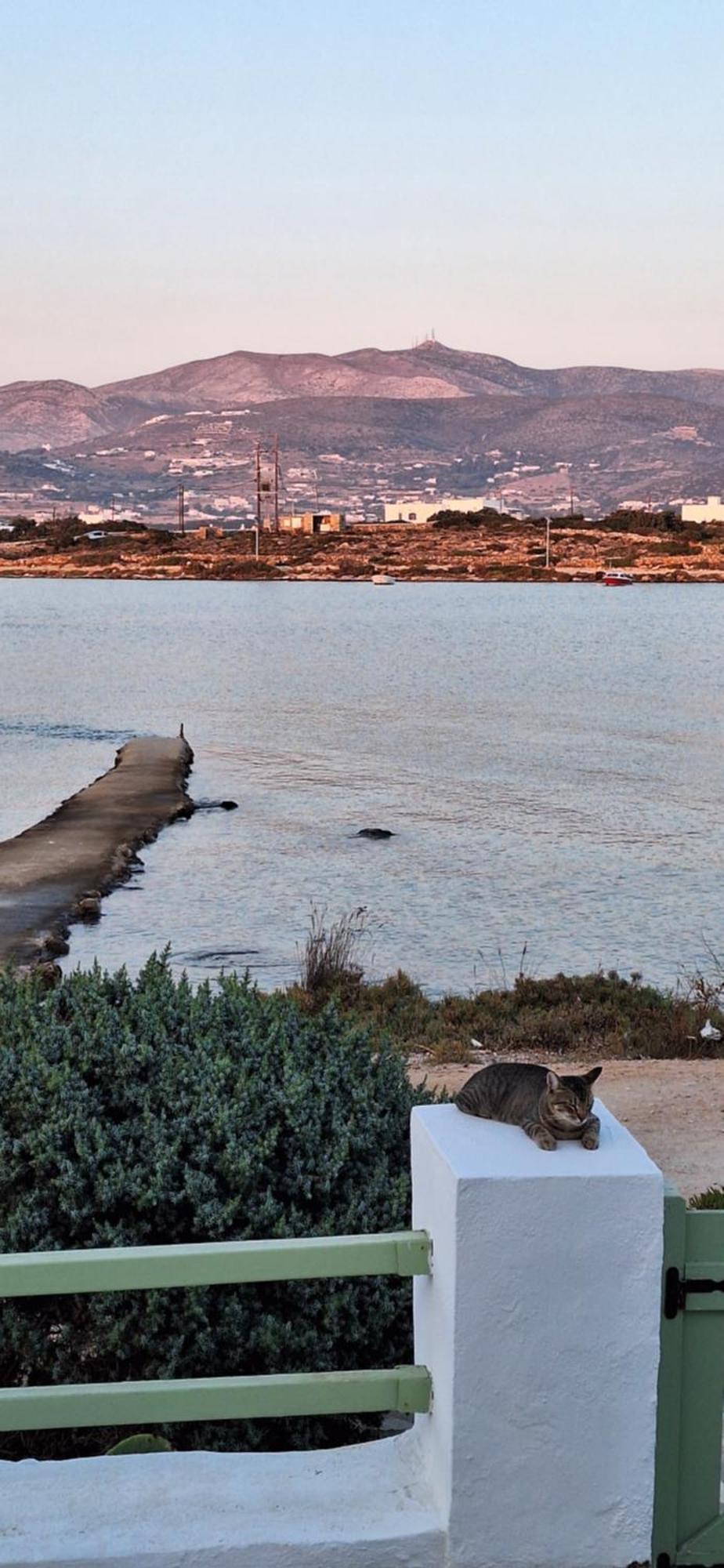 Mike'Splace Antiparos Town エクステリア 写真